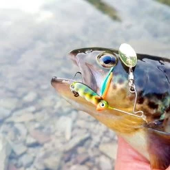 Spro Larva Micro Spinnerbait Treble Hook -Fishing World Verkoop 16a145a9ca6a4156a6c142587a875c95