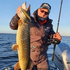 Salmo Sweeper Sinking 17 CM Limited Edition -Fishing World Verkoop 210cfd23fa9f4583b6dfff6c08358db2