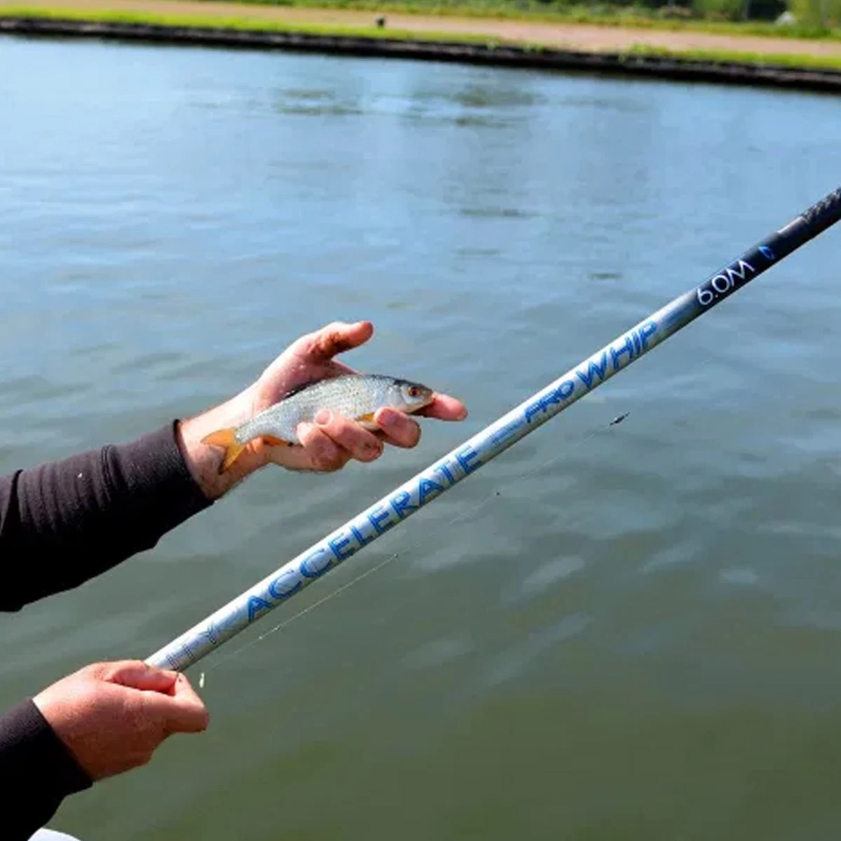 Cresta Identity Accelerate Whip 4 Cresta Identity Accelerate Whip - Afbeelding 2