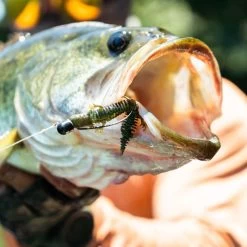 Savage Gear Ned Salamander 7,5 CM -Fishing World Verkoop 3fa91be6d3fc4bccbae0b831522f39ad