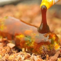 Korda Goo Spicy Squid Power Smoke 8 Korda Goo Spicy Squid Power Smoke -Fishing World Verkoop 6910942996414551bca0ff4b8260ab14