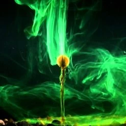 Korda Goo Squid Supreme Bait Smoke 9 Korda Goo Squid Supreme Bait Smoke -Fishing World Verkoop 7c82b92df52a4eba9cc3edf1f8c20f32