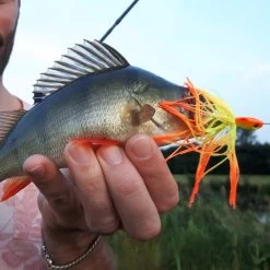 Patriot Spinnerbait 12 Gram -Fishing World Verkoop 935e6a7297944b5c915d8fc8359533af