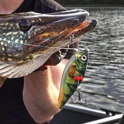 Rapala X-Rap Haku 14 CM -Fishing World Verkoop 9d9b08285ea6456e8172f5b405a8a7d5