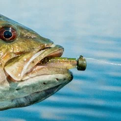 Northland Tackle Nedster 7 Gram -Fishing World Verkoop d64975c14f7e4efba50690ed5b7509f9