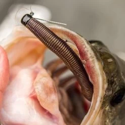 Z-Man Zman Mag ShroomZ Weedless Black 5,25 Gram -Fishing World Verkoop e79c733f79194dc0a4497d6dee3b30ff