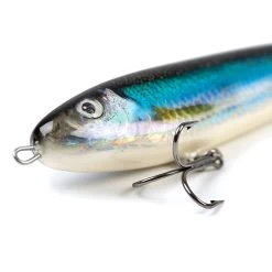 Salmo Sweeper Sinking 17 CM Limited Edition -Fishing World Verkoop fe7a525e17a94ea3bc40ec3153d6ff6f